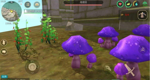 创造与魔法蘑菇根茎有什么用